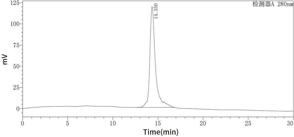 Recombinant Mouse IL-10
