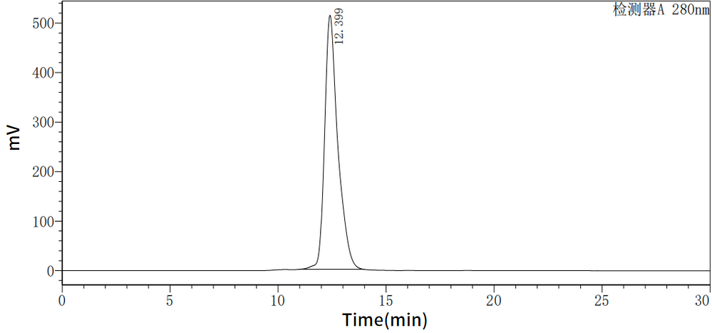 Recombinant Human IL-12