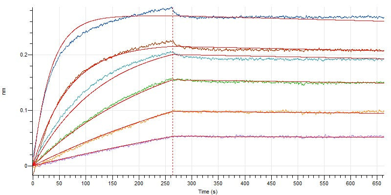 Recombinant Human BAFFR (C-Fc)