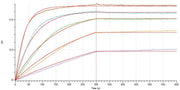 Recombinant Cynomolgus PD-L1 (C-6His)