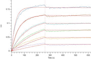 Recombinant Cynomolgus OX40 (C-6His)
