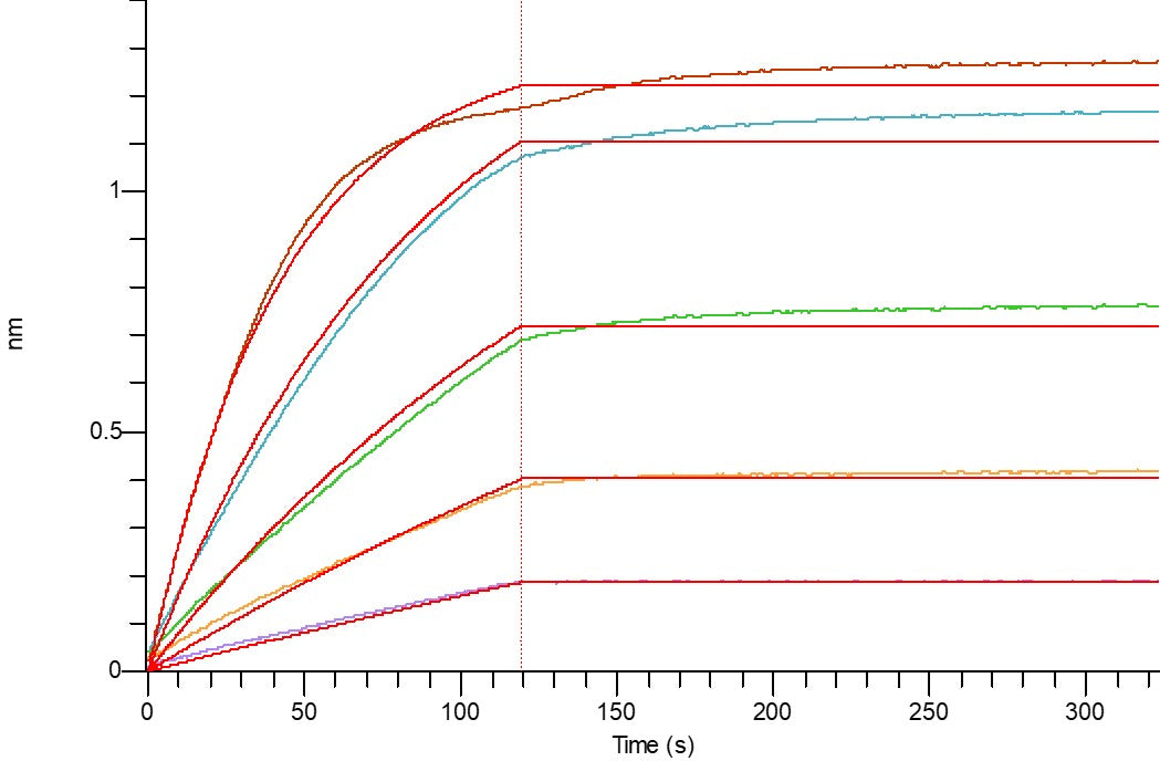 Biotinylated Human 4-1BB (C-Avi-6His)