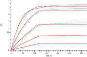 Biotinylated Human 4-1BB (C-Avi-6His)