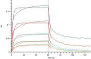 Recombinant Mouse CD32b (C-6His)
