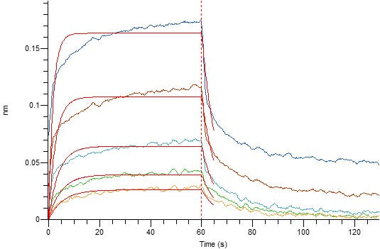 Recombinant Mouse CD32b (C-6His)