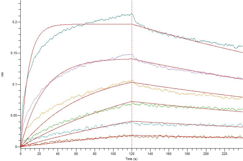 Recombinant Human IL-23R (C-Fc)