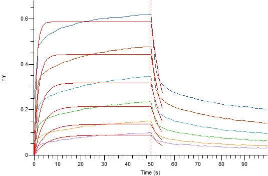 Recombinant Human CD32a (H167, C-6His)
