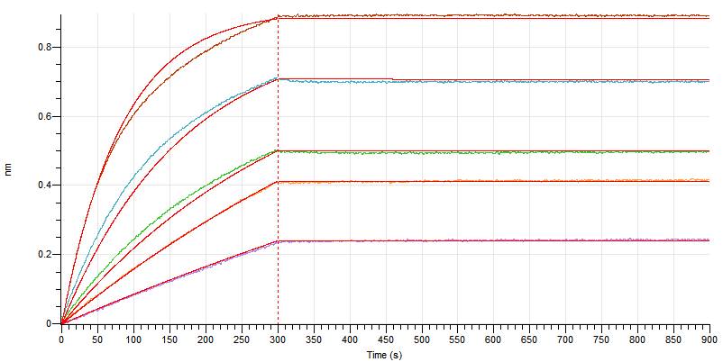 Recombinant Human CD38 (N-6His)