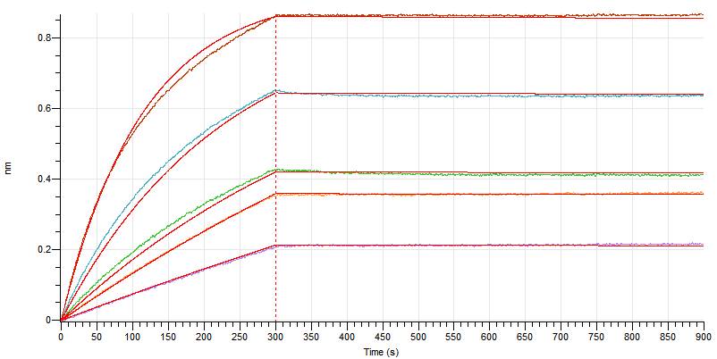 Recombinant Human CD38 (C-6His)
