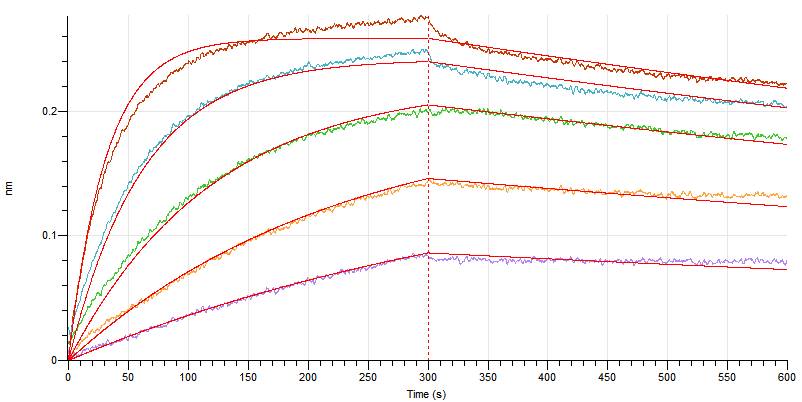 Recombinant Rat PD-L1 (C-6His)