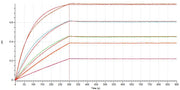 Biotinylated Human CD38 (N-6His-Avi)