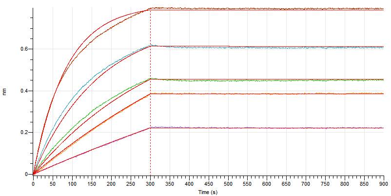 Biotinylated Human CD38 (N-6His-Avi)