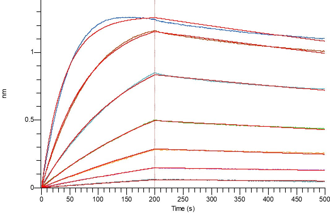 Recombinant Human IL-3RA (C-6His)