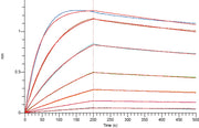Recombinant Human IL-3RA (C-6His)