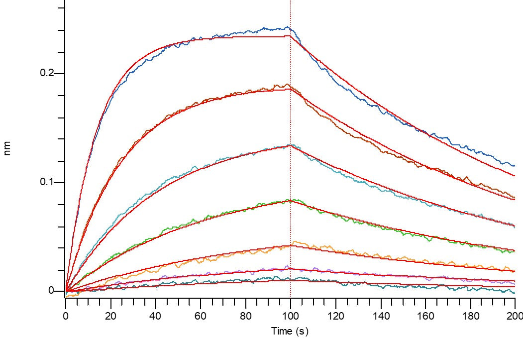 Recombinant Human MICA (C-6His)