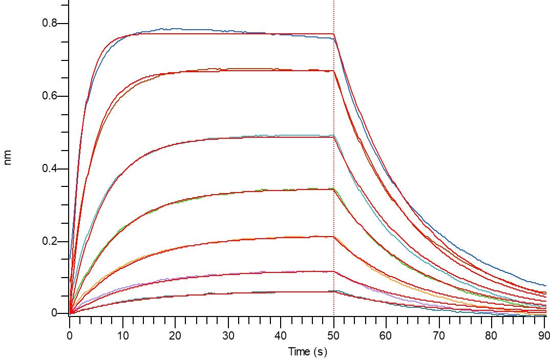 Recombinant Human CTLA-4 (C-Fc)