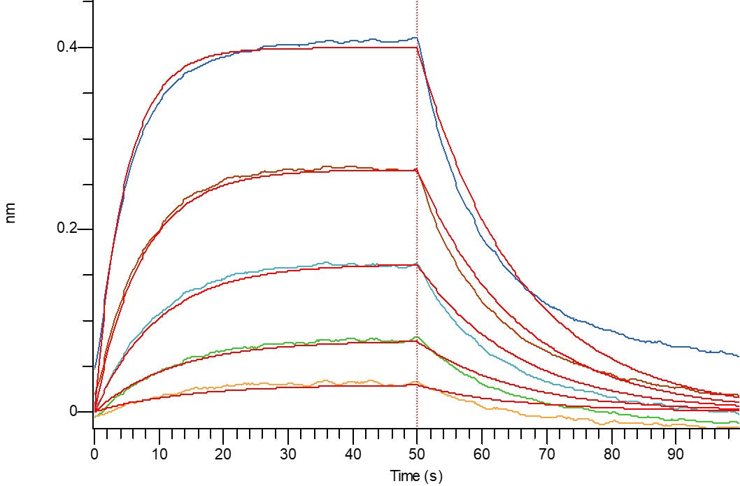 Recombinant Cynomolgus B7-1 (C-6His)