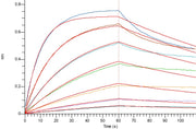 Recombinant Rat B7-1 (C-6His)