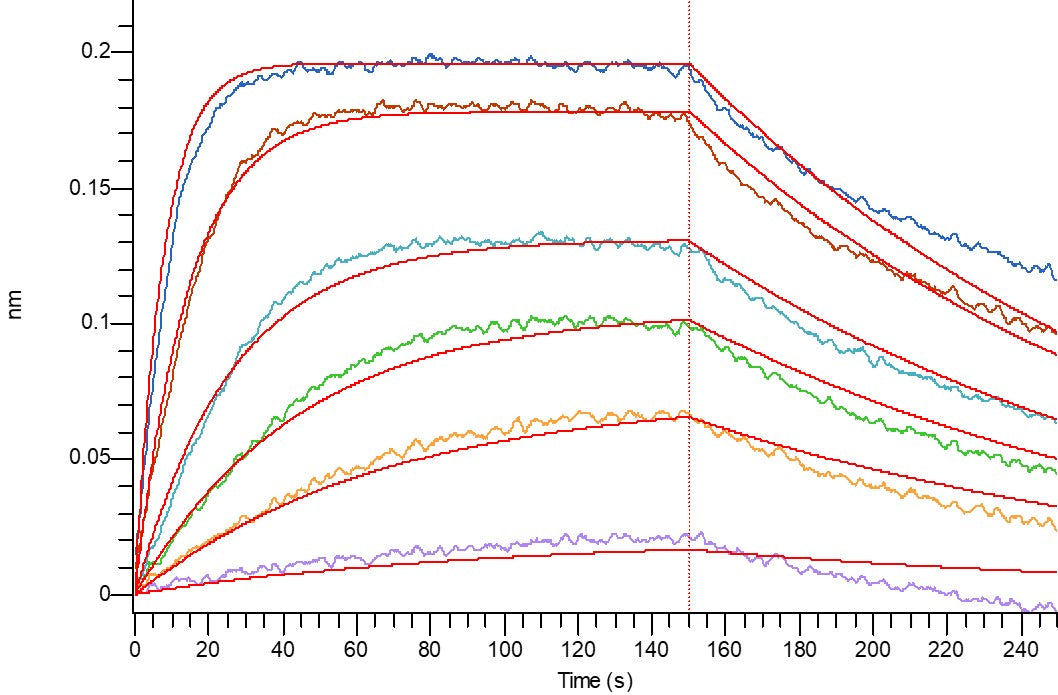 Recombinant Mouse CTLA-4 (C-Fc)