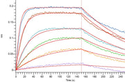 Recombinant Mouse CTLA-4 (C-Fc)