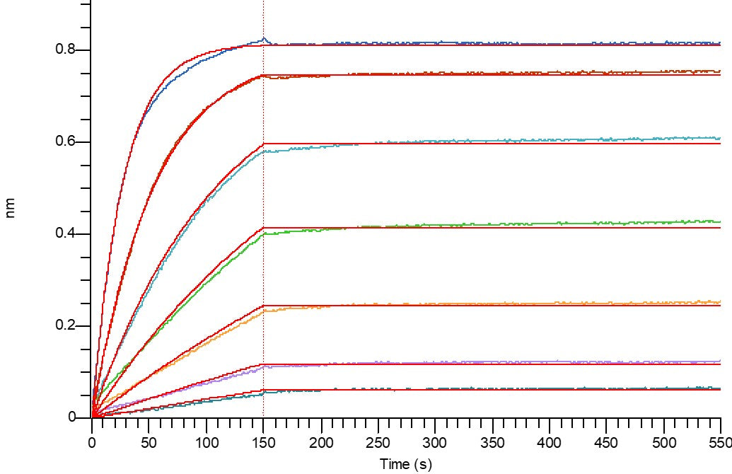 Recombinant Human CD40L (N-mFc)