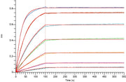 Recombinant Human CD40L (N-mFc)