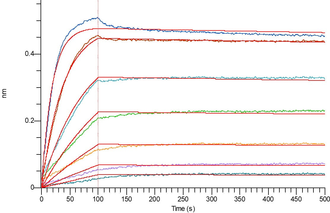 Recombinant Human CD40 (C-Fc)
