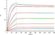 Recombinant Human CD40 (C-Fc)