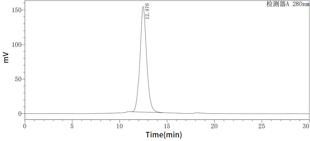 Recombinant Human CFB (C-6His)