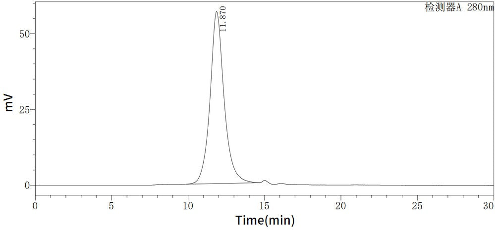Recombinant Human RSPO3 (C-Fc-6His)