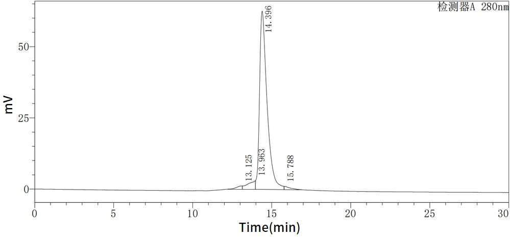 Recombinant Mouse IL-22 (E. coli)