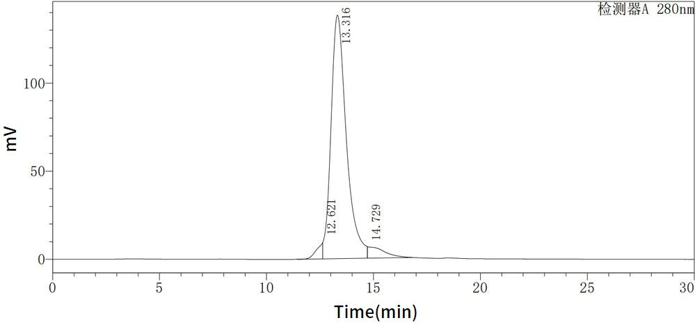 Recombinant Human IFN gamma