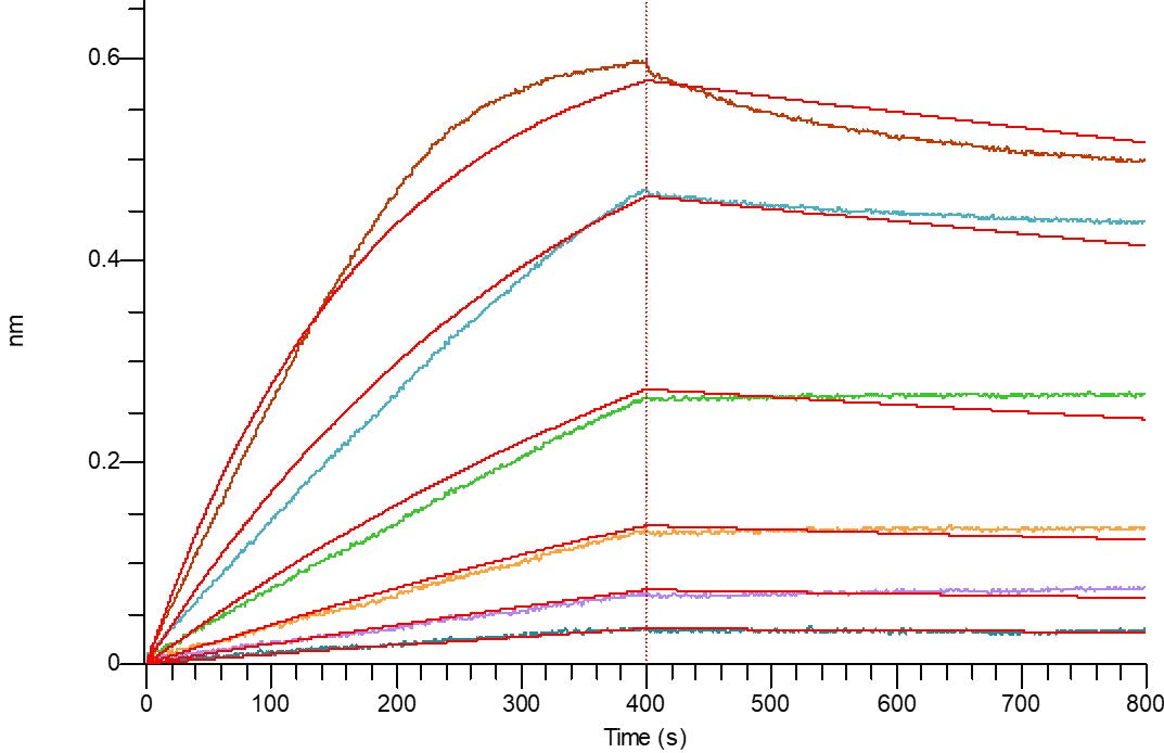 Recombinant Human LIGHT (N-6His)