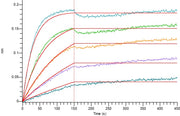 Recombinant Human RANK (C-6His)