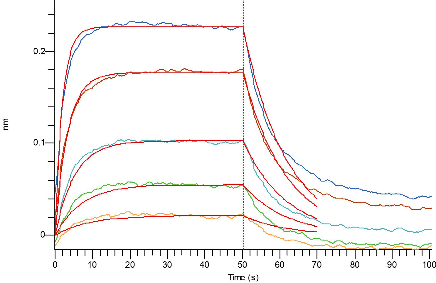 Recombinant Mouse NKG2D (N-Fc)