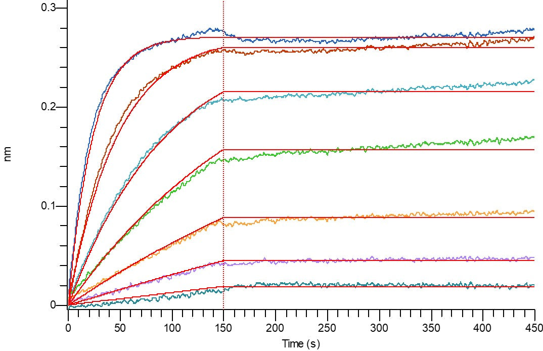 Recombinant Human IL-10