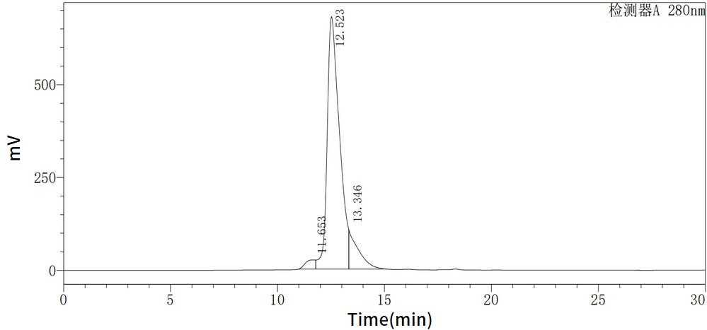 Recombinant Human MMP-2 (C-6His)
