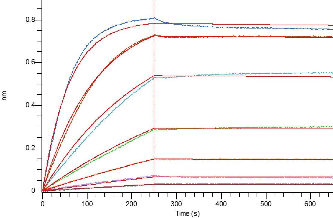Recombinant Human Fas Ligand (N-6His)