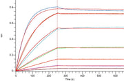 Recombinant Human Fas Ligand (N-6His)
