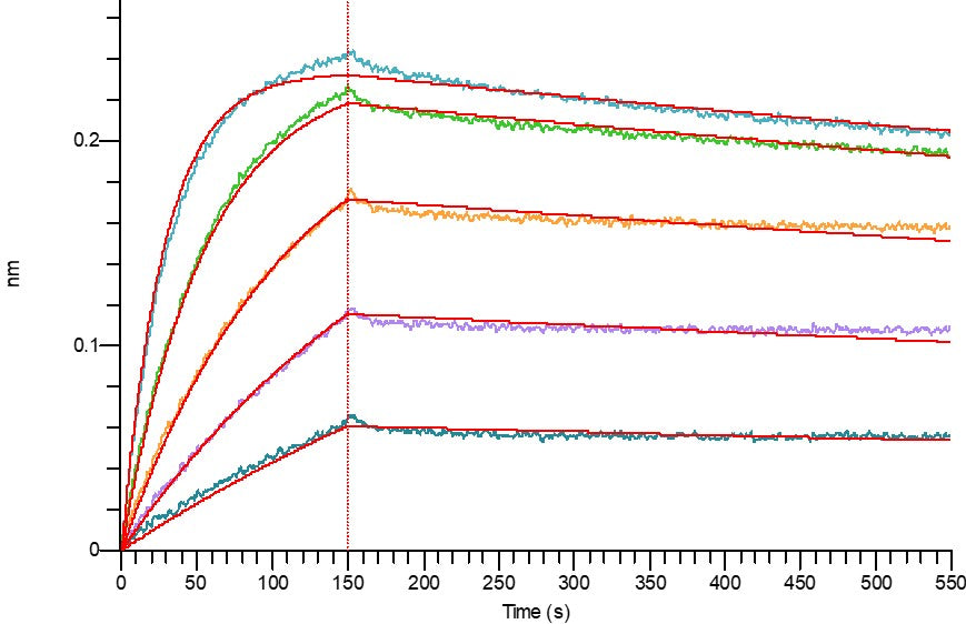 Recombinant Human FOLR1 (C-Fc)