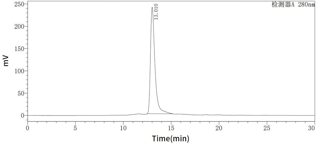 Recombinant Human HMGB1 (C-6His)