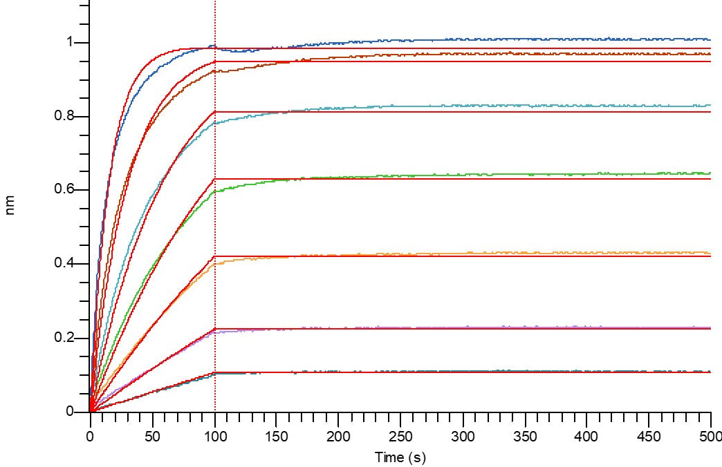 Recombinant Human DKK-1 (N-8His)