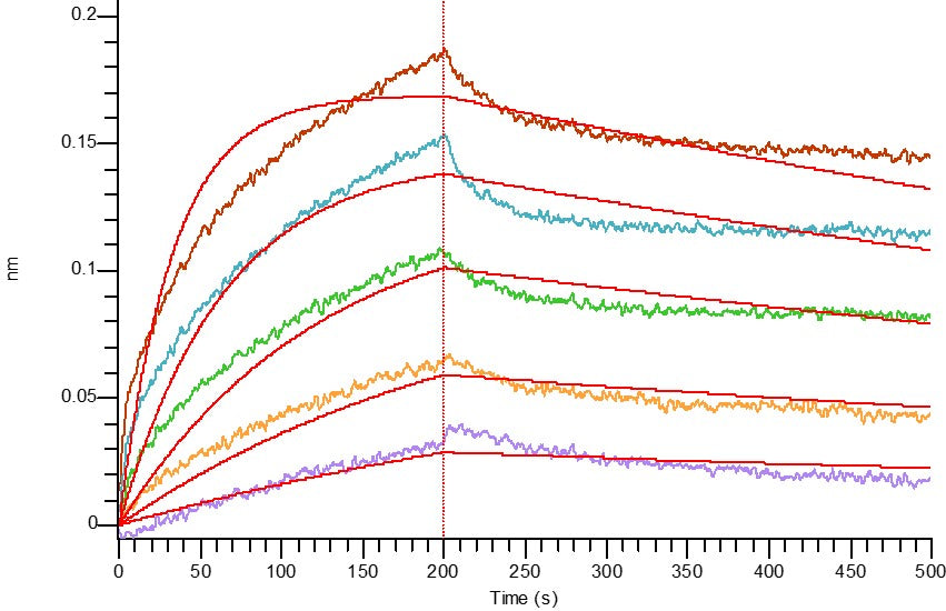 Recombinant Human Nectin-4 (C-mFc)