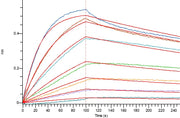 Biotinylated Human LDL R (C-Avi-6His)