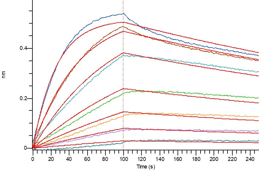 Biotinylated Human LDL R (C-Avi-6His)