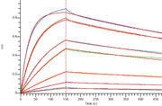 Recombinant Human EGFR vIII (C-6His)