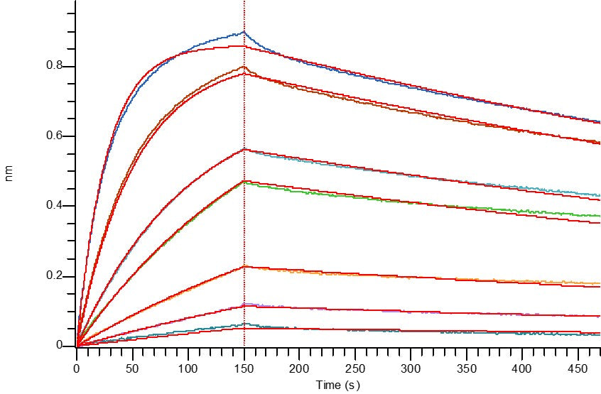 Recombinant Human EGFR vIII (C-6His)
