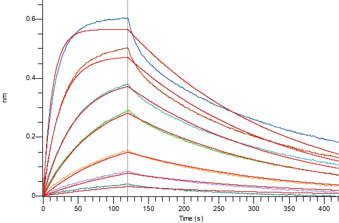 Recombinant Human ROR1 (C-6His)