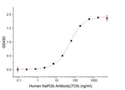 Recombinant Human NaPi2b ECL2 (C-Fc)