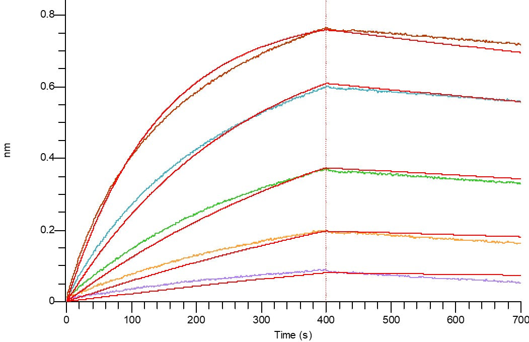 Biotinylated Cynomolgus TSLP (C-6His-Avi)